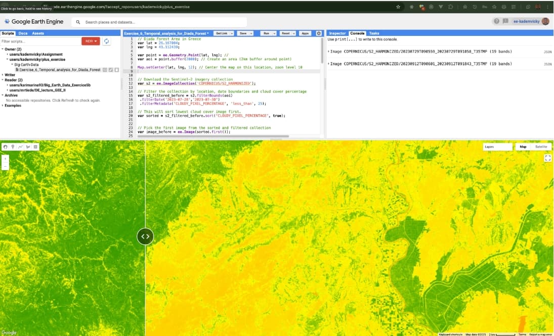 Visualizing Change Over Time: Temporal Analysis of the Dadia Forest Wildfire