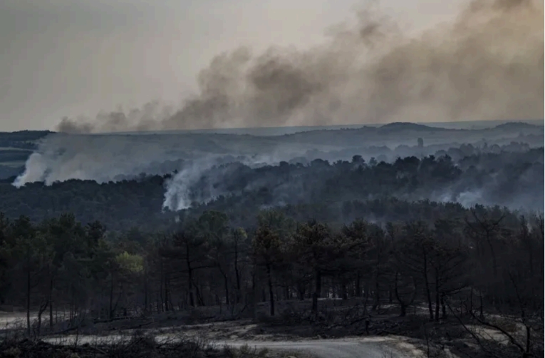 Wildfire smoke over a forest landscape
